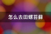 怎么去田螺苔藓 