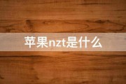 苹果nzt是什么 