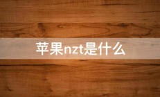 苹果nzt是什么 