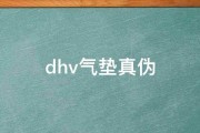 dhv气垫真伪 