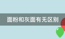 面粉和灰面有无区别 