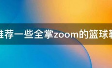 推荐一些全掌zoom的篮球鞋 