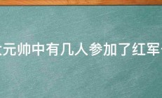 十大元帅中有几人参加了红军长征 