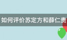 如何评价苏定方和薛仁贵 