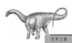 丘布特龙(Chubutisaurus)：体长23米的阿根廷超巨型恐龙