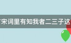 哪首宋词里有知我者二三子这句话 