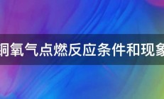 铜氧气点燃反应条件和现象 