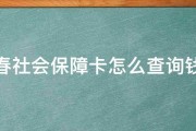 长春社会保障卡怎么查询钱数 