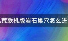 饥荒联机版岩石巢穴怎么进去 