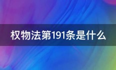 权物法第191条是什么 