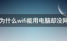 为什么wifi能用电脑却没网 