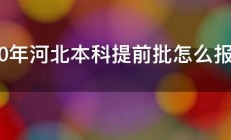 2020年河北本科提前批怎么报考 