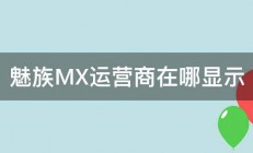 魅族MX运营商在哪显示 