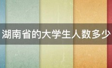 湖南省的大学生人数多少 