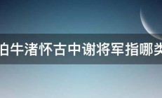 夜泊牛渚怀古中谢将军指哪类人 