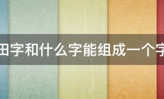 田字和什么字能组成一个字 