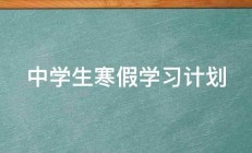 中学生寒假学习计划 