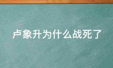 卢象升为什么战死了 