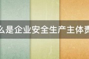 什么是企业安全生产主体责任 