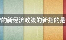 列宁的新经济政策的新指的是什么 