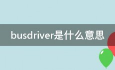 busdriver是什么意思 