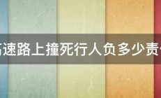 高速路上撞死行人负多少责任 