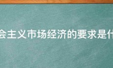 社会主义市场经济的要求是什么 