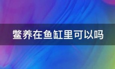 鳖养在鱼缸里可以吗 