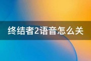 终结者2语音怎么关 