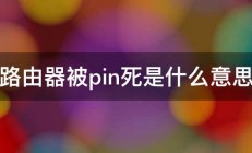 路由器被pin死是什么意思 