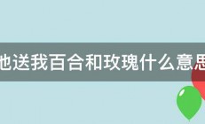 他送我百合和玫瑰什么意思 