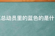 海底总动员里的蓝色的是什么鱼 