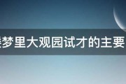 红楼梦里大观园试才的主要内容 