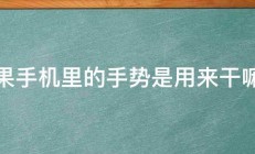 苹果手机里的手势是用来干嘛的 