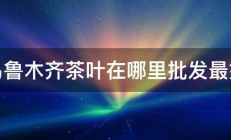 乌鲁木齐茶叶在哪里批发最好 