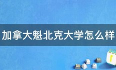 加拿大魁北克大学怎么样 