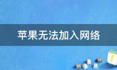 苹果无法加入网络 