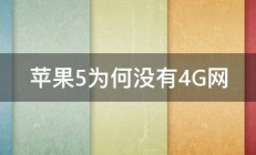 苹果5为何没有4G网 