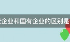 三资企业和国有企业的区别是什么 