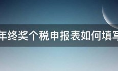 年终奖个税申报表如何填写 