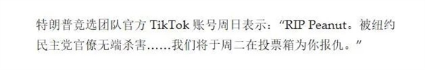 美国网红松鼠被安乐死:死后一查误判狂犬病!