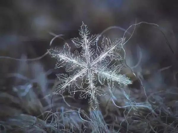 雪花有几个瓣? 你可能还真不清楚！