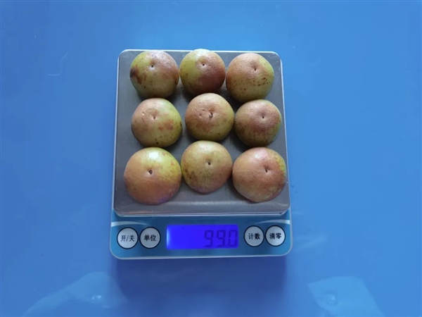 这种水果维生素C含量是橙子8倍!被誉为便秘人士救星