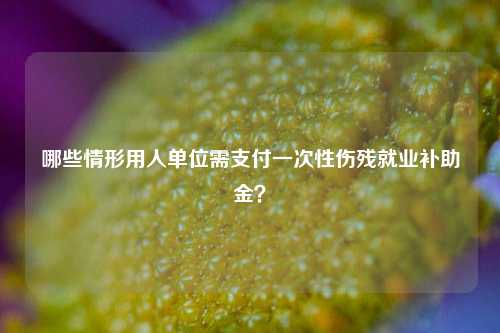 哪些情形用人单位需支付一次性伤残就业补助金？