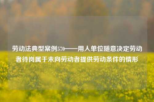 劳动法典型案例570——用人单位随意决定劳动者待岗属于未向劳动者提供劳动条件的情形