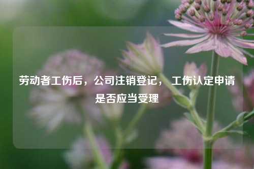 劳动者工伤后，公司注销登记， 工伤认定申请是否应当受理