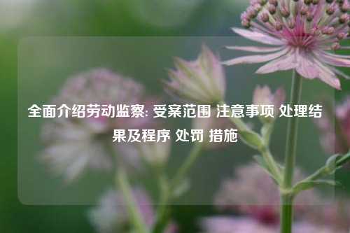 全面介绍劳动监察: 受案范围 注意事项 处理结果及程序 处罚 措施