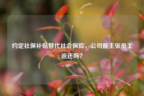 约定社保补贴替代社会保险，公司能主张员工返还吗？