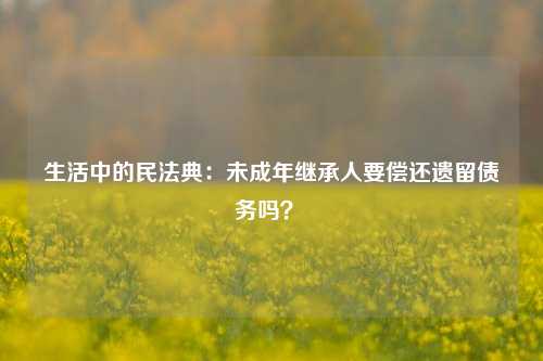 生活中的民法典：未成年继承人要偿还遗留债务吗？ 