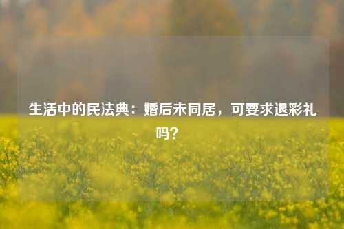 生活中的民法典：婚后未同居，可要求退彩礼吗？ 